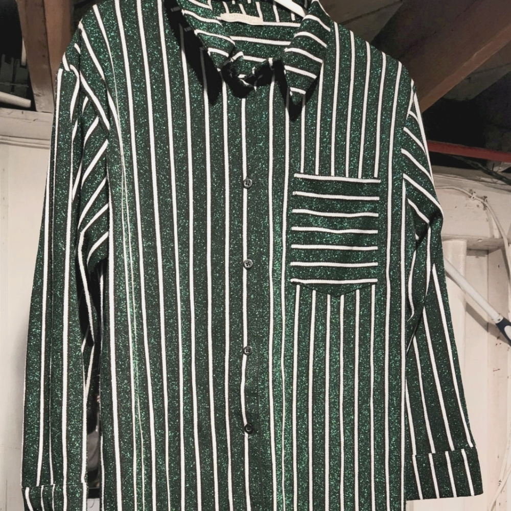 Zara Trafaluc dress